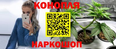 гидра Апрелевка