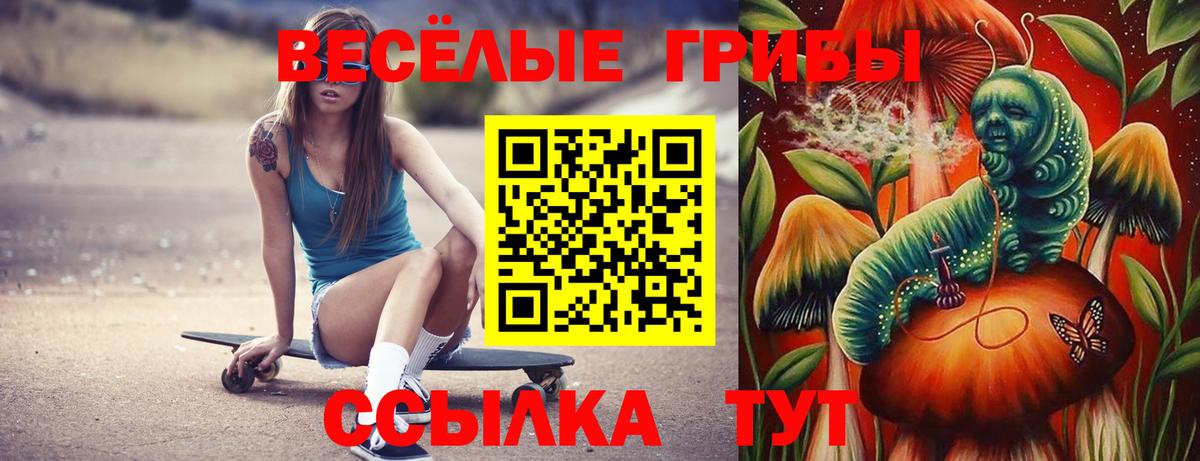 Ахтубинск  Галлюциногенные грибы Psilocybe  Вход с VPN 